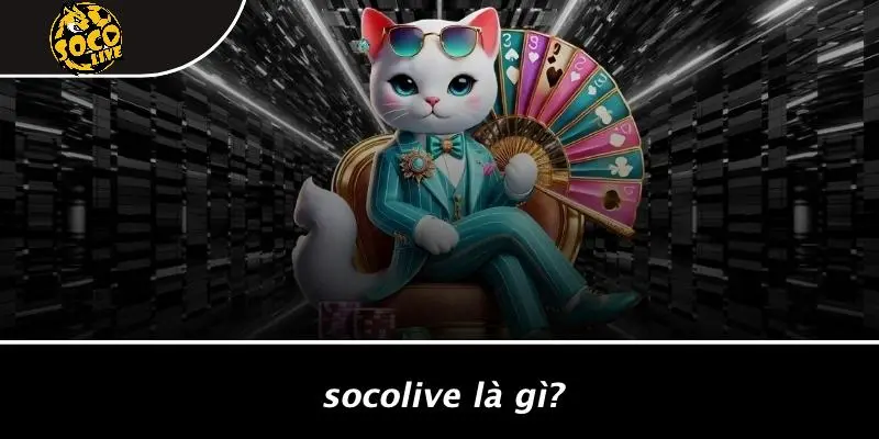 tin tức bóng đá
