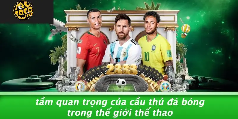Cầu Thủ Đá Bóng: Hé Lộ Những Bí Ẩn Đỉnh Cao Sân Cỏ 1 Cầu Thủ Đá Bóng