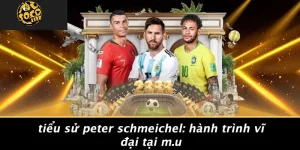 Tiểu Sử Peter Schmeichel