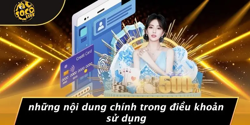 Điều khoản sử dụng 2 Điều khoản sử dụng