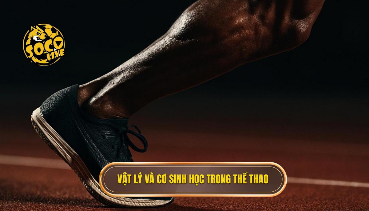 Nền tảng Vật lý và Cơ sinh học của Cú Sút