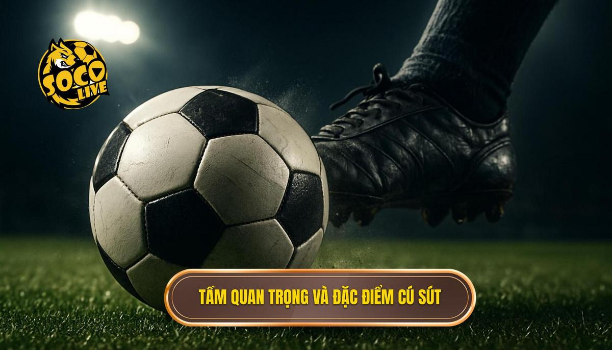 Tầm quan trọng và đặc điểm nhận dạng của cú sút má ngoài