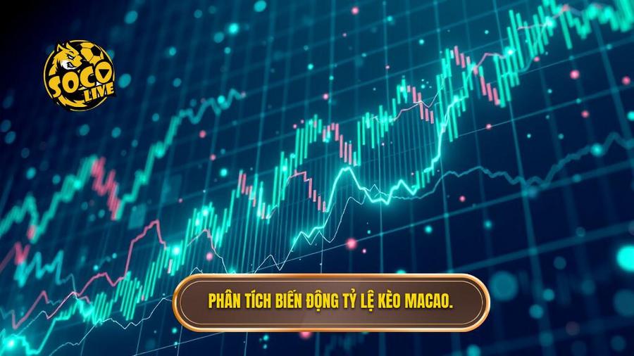 Phân tích đa chiều về biến động tỷ lệ kèo ma cao