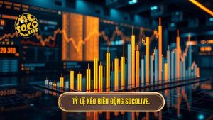 Tỷ Lệ Kèo Biến Động: Nghệ Thuật Đọc Vị Nhà Cái Và Chiến Thuật Thắng Lớn